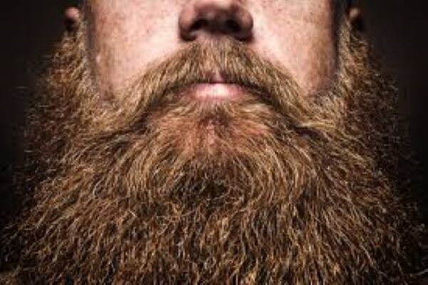 Why Is Beard Care Pro A Requisite For Good Business?